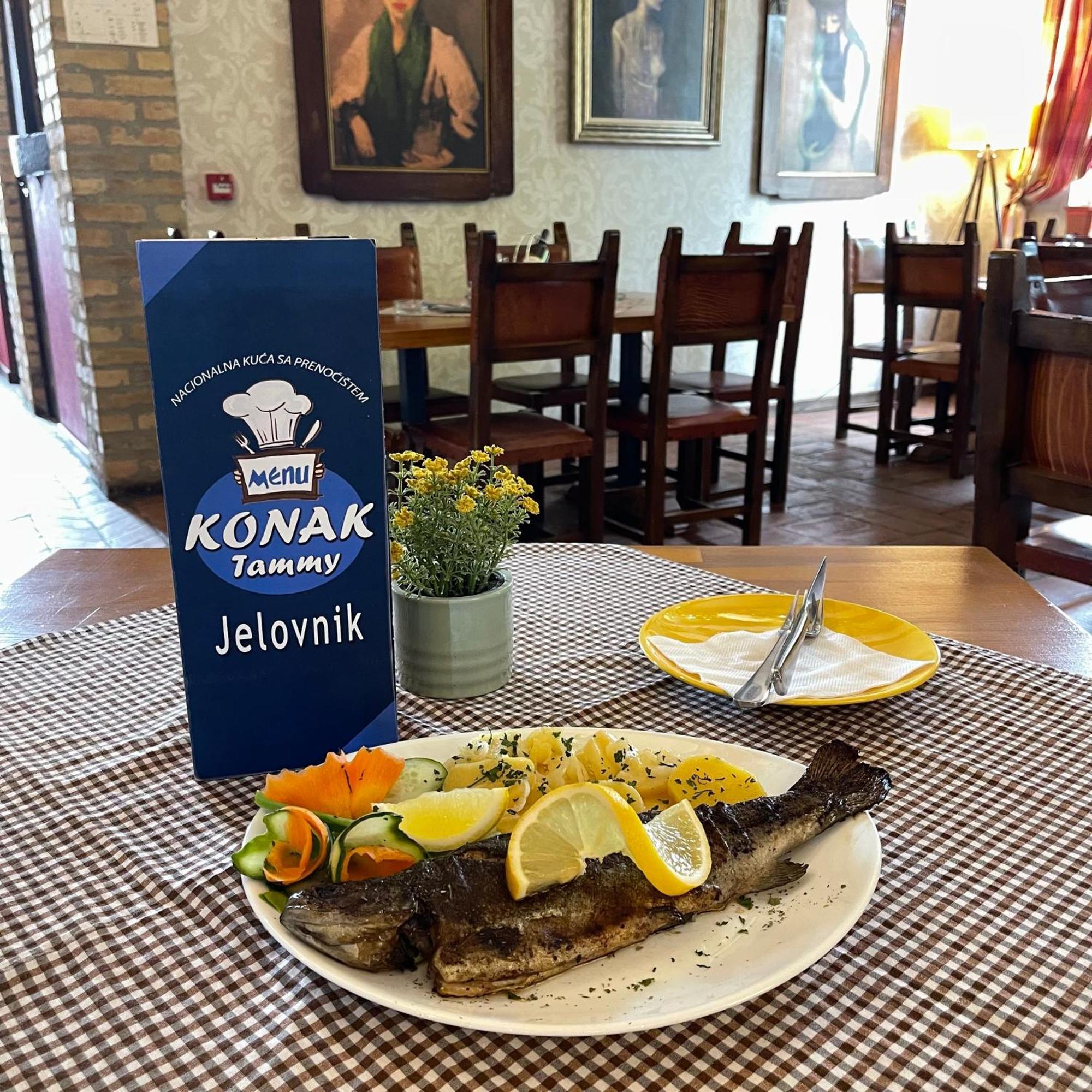 Hotel Konak Tammy Platicevo - Šabac Eksteriør bilde